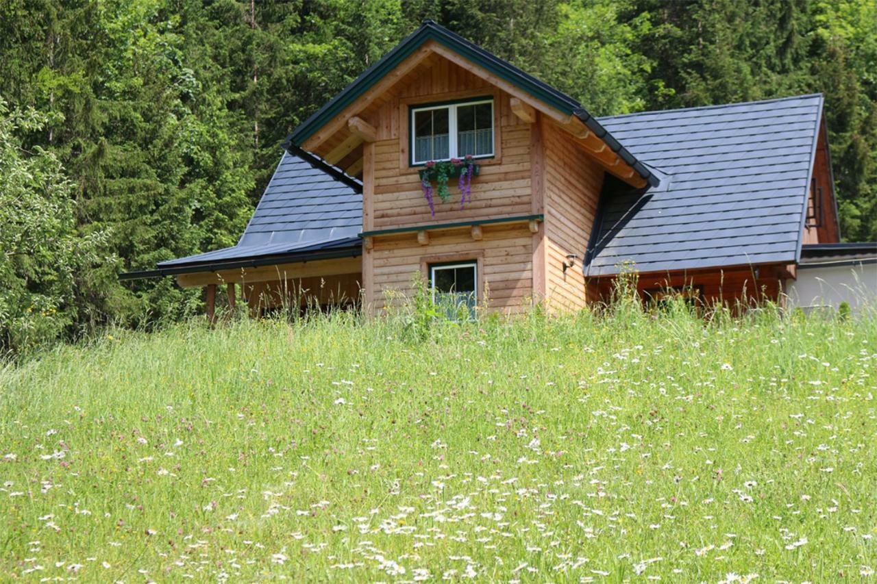 Forstauer'S Teichalm Villa Gams bei Hieflau Luaran gambar